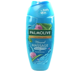 Palmolive Thermal Spa Mineral Massage żel pod prysznic 250 ml