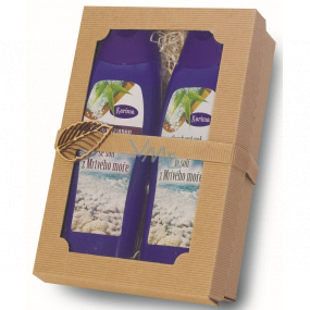 Karima Mrtvé moře sprchový gel se solí z Mrtvého moře 280 ml + 2v1 vlasový šampon a kondicionér se solí z Mrtvého moře 280 ml, kosmetická sada