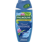 Palmolive żel pod prysznic Wellness Massage, 250 ml