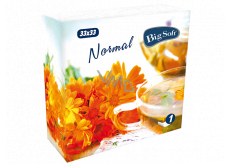 Big Soft Normal papierowe chusteczki papierowe 1 warstwowe 33 x 33 cm 100 sztuk