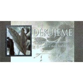 Nekupto Poděkování - Děkujeme za projevenou soustrast k úmrtí v naší rodině 1 kus Nekupto Poděkování - Děkujeme za projevenou soustrast k úmrtí v naší rodině 1 kus
