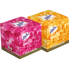 Linteo Premium chusteczki papierowe 3-warstwowe, pudełko 60 szt.