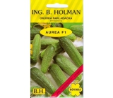 Holman F1 Aurea ogórki konserwowe drobnoźdowe 2,5 g