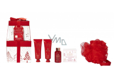 Grace Cole Dzikie figi & Żurawina żel pod prysznic 50 ml + krem do ciała 50 ml + kule do kąpieli 80 g + krem do rąk 50 ml + gąbka do kąpieli, zestaw kosmetyków dla kobiet