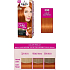 Schwarzkopf Palette Perfect Color Care barva na vlasy 390 Světle měděný