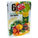 Tea Lights Lemongrass Coriander zapachowe świeczki herbaciane 6 sztuk