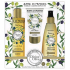 Jeanne en Provence Divine Olive sprchový olej 250 ml + krém na ruce 75 ml + vyživující olej na tělo, obličej a vlasy 150 ml, kosmetická sada