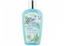 Bohemia Gifts Dead Sea Mrtvé moře, Extrak z mořských řas a solí šampon pro všechny typy vlasů 250 ml