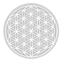 Masaru Emoto Lagoena cestovní biolahev Květ života bílý 0,5 l