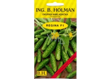 Holman F1 Regina okurky nakladačky 2 g