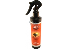 Salon Chic Professional Marokańska oliwa arganowa spray do ochrony włosów przed ciepłem i suchem 200 ml