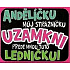 Nekupto Dárky s humorem Magnet ledničkový Andělíčku můj strážníčku 9 x 6,5 cm