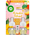 Air Wick Mango brzoskwinia Duo elektryczny odświeżacz powietrza płynny zapasowy wkład 2 x 19 ml