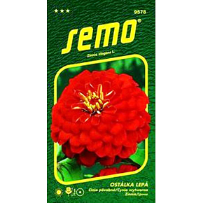 Semo Ostálka lepá Cherry Queen czerewony 0,7 g