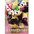 Ditipo Hrací přání k narozeninám Pandy Jitka Molavcová Máme rádi zvířata 224 x 157 mm