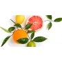 Millefiori Milano Natural Pompelmo - Grep Vonná svíčka hoří až 60 hodin 180 g