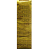 Nekupto Dárková papírová taška hologram na láhev 33 x 10 x 9 cm Zlatá 050 01 THLH