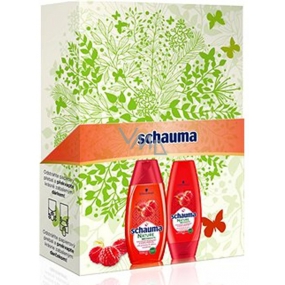 Schauma Nature Moments Štavnatá malina a slunečnicový olej pro ochranu barvy a lesk šampon na vlasy 250 ml + kondicionér 200 ml, kosmetická sada