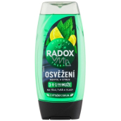 Radox Men 3w1 Odświeżenie Mentol i cytrus żel pod prysznic dla mężczyzn 225 ml