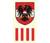 Arch Tatuażowe naklejki na twarz i ciało Flaga Austrii 2 motywy