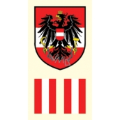 Arch Tatuażowe naklejki na twarz i ciało Flaga Austrii 2 motywy