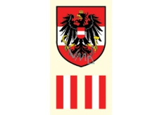 Arch Tatuażowe naklejki na twarz i ciało Flaga Austrii 2 motywy