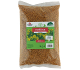 Rosteto Musztarda nasiona do zielonego nawożenia 800 g
