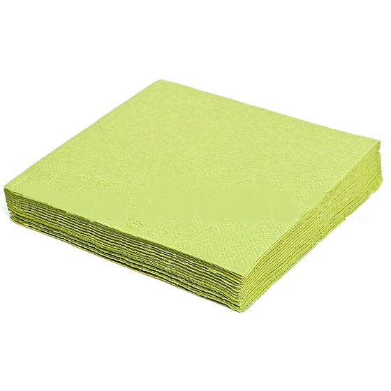 Gastro Papírové ubrousky 2 vrstvé 33 x 33 cm 50 kusů barevné světle zelené