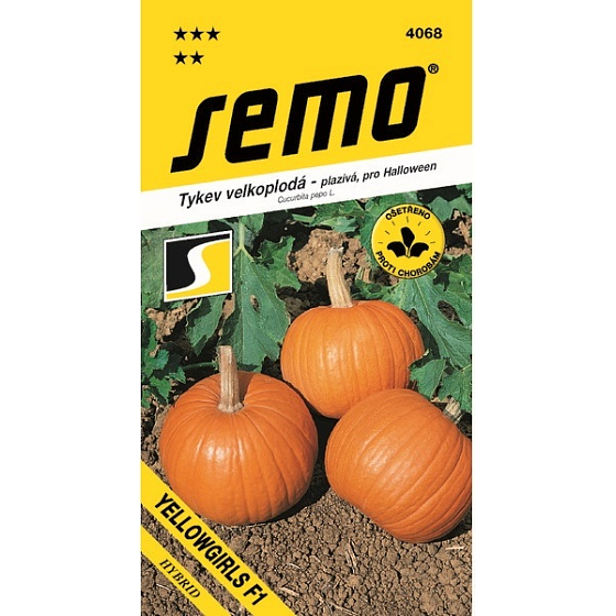 Semo Tykev velkoplodá plazivá Yellowgirls F1 pro Halloween 3 g