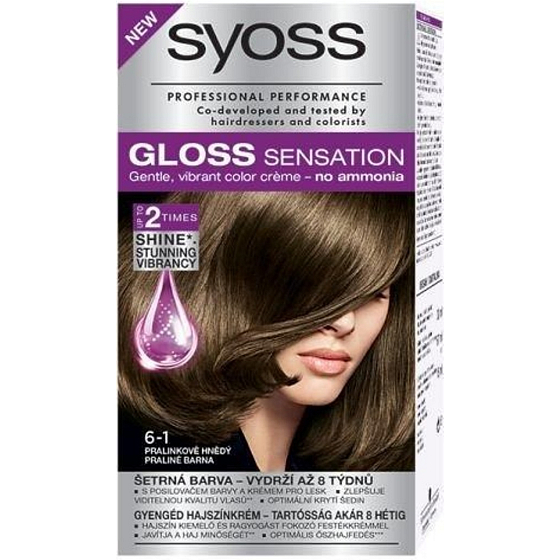 Syoss Gloss Sensation Šetrná barva na vlasy bez amoniaku 6-1 Pralinkově hnědý 115 ml
