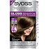 Syoss Gloss Sensation Šetrná barva na vlasy bez amoniaku 6-1 Pralinkově hnědý 115 ml