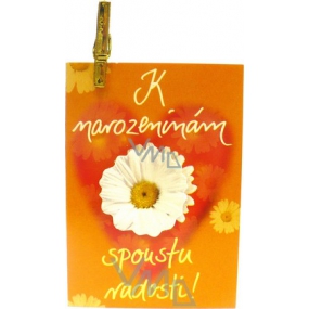 Nekupto Dárková kartička K narozeninám spoustu radosti! 7 x 5,5 cm 1 kus Nekupto Dárková kartička K narozeninám spoustu radosti! 7 x 5,5 cm 1 kus