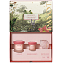 Payot Roselift Collagen Jour krem do twarzy liftingujący 50 ml + Roselift Collagen Regard krem pod oczy liftingujący 15 ml + Gua Sha różowy, zestaw kosmetyczny dla kobiet