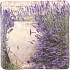Bohemia Gifts Amfora v levanduli dekorativní kachlík 10 x 10 cm