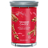 Yankee Candle Sparkling Cinnamon - Iskrząca cynamonowa świeca Signature Tumbler duża szklana 2 knoty 567 g