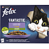Felix Fantastic kapsičky pro kočky wybór z warzywami, 12 × 85 g