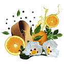 Compagnia Delle Indie 21 Orange and Leather woda perfumowana dla mężczyzn i kobiet 75 ml