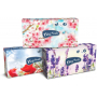 Big Soft Deluxe kosmetické papírové ubrousky 2 vrstvé v krabičce 100 kusů
