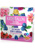 Agro Kristalon Rododendron wodorozpuszczalne uniwersalne nawozy 0,5 kg na 250 l podlewania