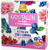 Agro Kristalon Rododendron wodorozpuszczalne uniwersalne nawozy 0,5 kg na 250 l podlewania