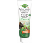 Bione Cosmetics CBD Kanabidiol balsam ziołowy z Kasztanem Końskim 300 ml