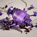 Dolce & Gabbana Dolce Violet woda toaletowa dla kobiet 75 ml