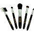 Body Collection Brush make-up sada štětců na make-up 5 kusů, kosmetická sada