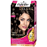 Schwarzkopf Palette Deluxe pečujících 7 olejů barva na vlasy 700 jemný středně hnědý