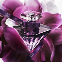 Lancome La Nuit Trésor Le Parfum woda perfumowana dla 50 ml