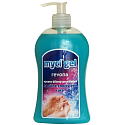 Revona Mycí gel vysoce účinný 500 ml