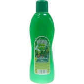 Elegancja Leśna kąpiel 1 l