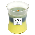 WoodWick Trilogy Woodland Shade - Lesní stín vonná svíčka s dřevěným knotem a víčkem sklo střední 275 g