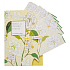 Heathcote & Ivory Neroli & Lime Leaves parfémovaný papír 5 archů