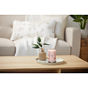 Yankee Candle Pink Sands - Růžowe piaski vonna świeczka Signature Tumbler duża szklana 2 knoty 567 g